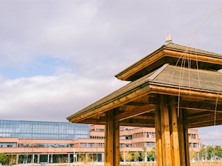 美麗校園